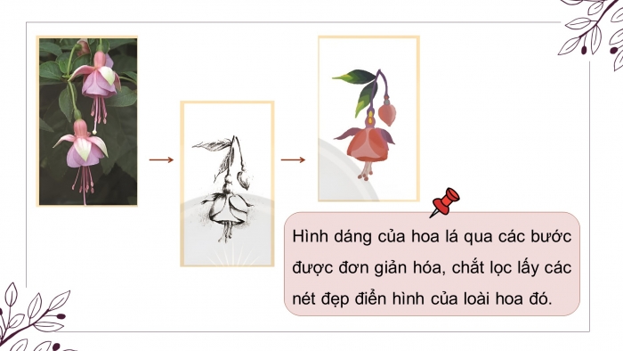 Giáo án điện tử Mĩ thuật 8 chân trời (bản 2) Bài 1: Vẽ và cách điệu hoa lá