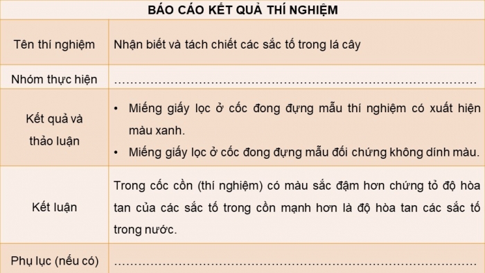 Giáo án điện tử Sinh học 11 cánh diều Bài 4: Quang hợp ở thực vật (P2)