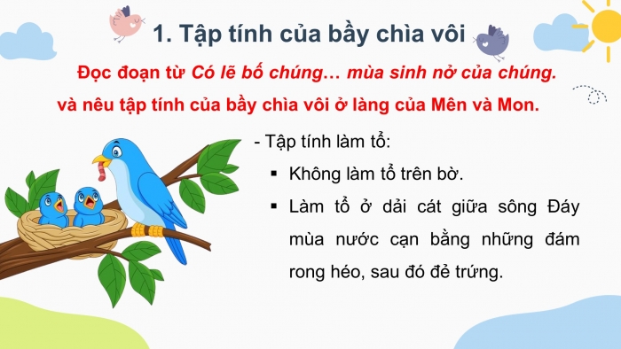 Chim tập trung ở Hà Nội là chìa vôi di cư tránh rét | Báo Dân trí