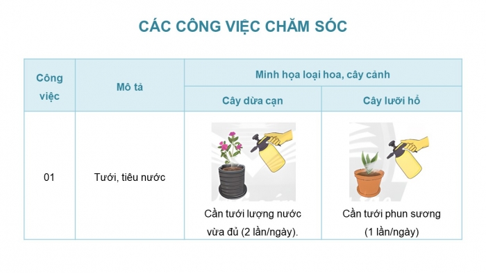 Giáo án điện tử Công nghệ 4 chân trời Bài 5: Chăm sóc hoa, cây cảnh trong chậu