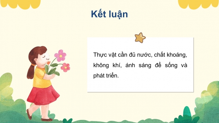 Giáo án điện tử Khoa học 4 kết nối Bài 15: Thực vật cần gì để sống?