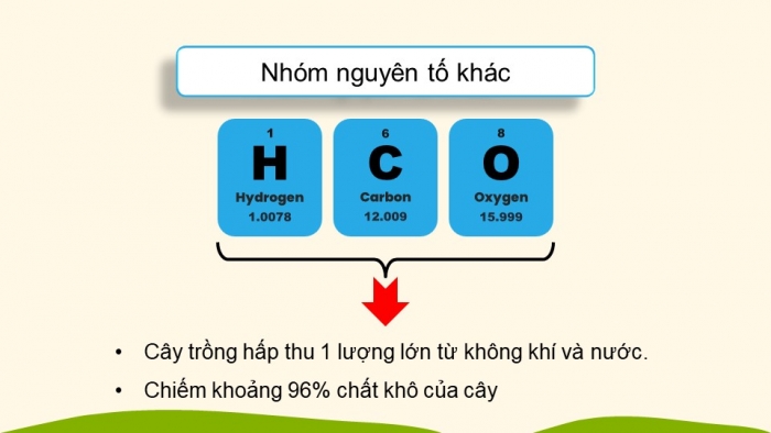 Giáo án điện tử KHTN 8 kết nối Bài 12: Phân bón hoá học