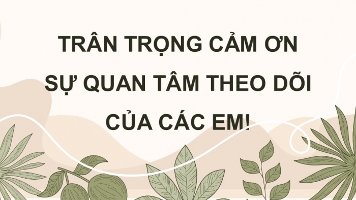 Giáo án điện tử Tiếng Việt 4 cánh diều Bài 7 Viết 1: Trả bài tả cây cối