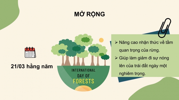 Giáo án điện tử bài 6: Rừng ở Việt Nam