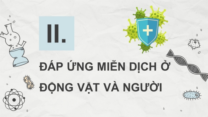 Giáo án điện tử Sinh học 11 chân trời Bài 12: Miễn dịch ở động vật và người