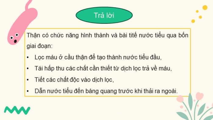 Giáo án điện tử Sinh học 11 chân trời Bài 13: Bài tiết và cân bằng nội môi