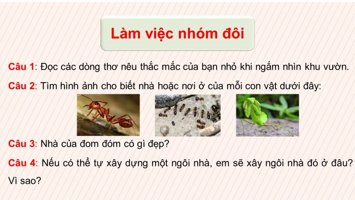 Giáo án điện tử tiếng việt 3 chân trời bài 3 tiết 8 + 9: Chuyện xây nhà