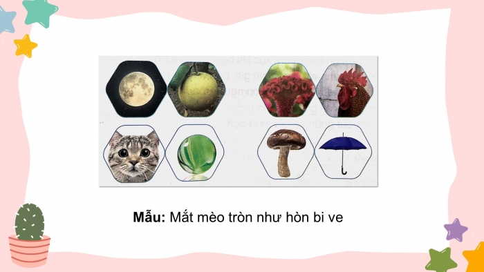 Giáo án điện tử tiếng việt 3 kết nối bài 6: Cây gạo. Tiết 3 – 4: Luyện từ và câu