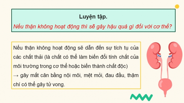 Giáo án điện tử Sinh học 11 chân trời Bài 13: Bài tiết và cân bằng nội môi