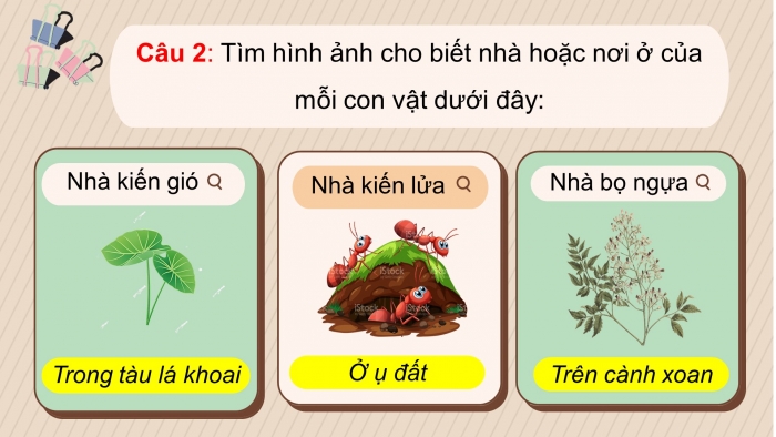 Giáo án điện tử tiếng việt 3 chân trời bài 3 tiết 8 + 9: Chuyện xây nhà