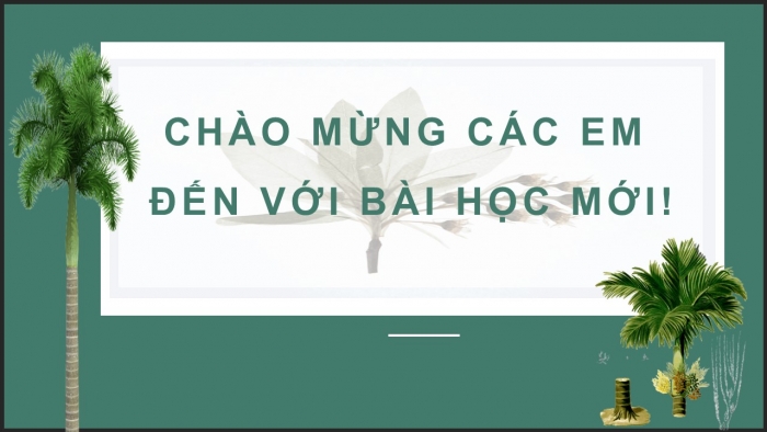 Giáo án điện tử ngữ văn 7 chân trời tiết: Đọc kết nối chủ điểm - Bài học từ cây cau