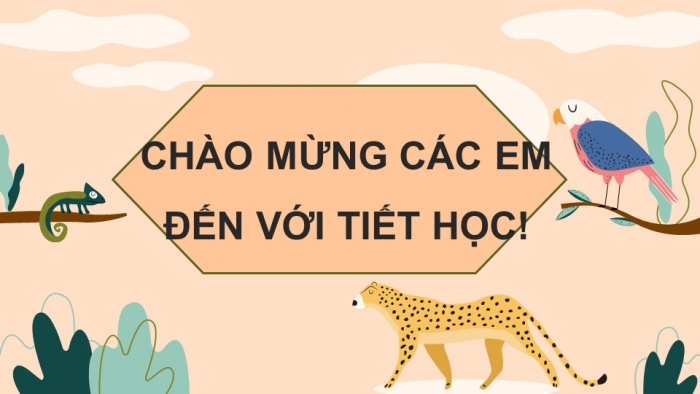 Giáo án điện tử KHTN 7 cánh diều – Phần sinh học bài 28. Tập tính ở động vật