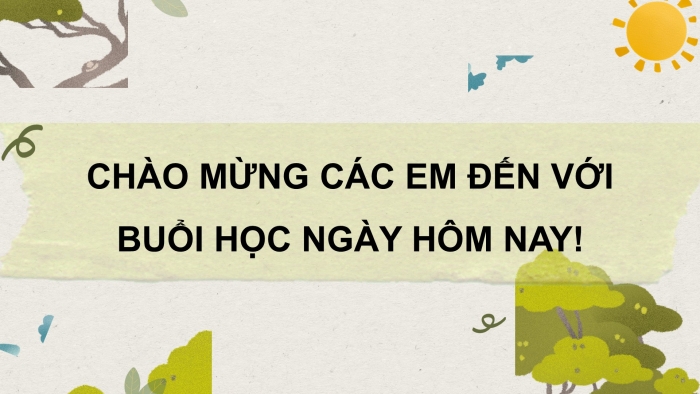 Giáo án điện tử địa lí 10 chân trời bài 18: Quy luật địa đới và quy luật phi địa đới