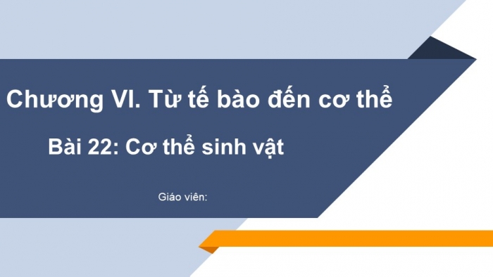 Giáo án powerpoint KHTN 6 kết nối tri thức