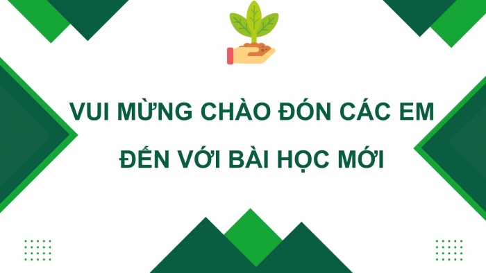 Giáo án điện tử địa lí 10 chân trời bài 40: Phát triển bền vững và tăng trưởng xanh