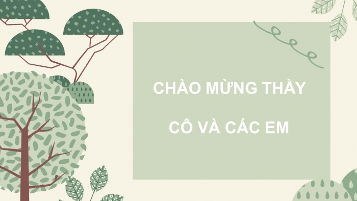 Giáo án điện tử sinh học 9 bài 12: Cơ chế xác định giới tính