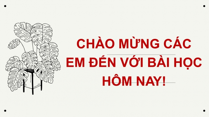 Giáo án điện tử Sinh học 12 bài 4: Đột biến gen