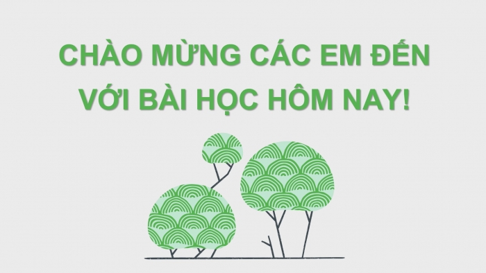 Giáo án điện tử Sinh học 12 bài 8: Quy luật Menđen: Quy luật phân li