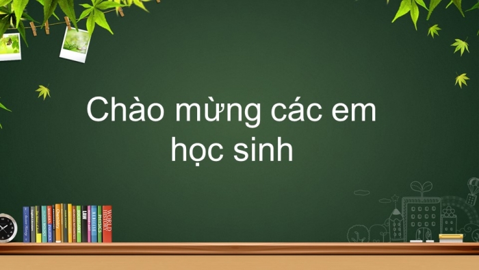 Giáo án điện tử địa lí 9 bài 20: Vùng Đồng bằng sông Hồng