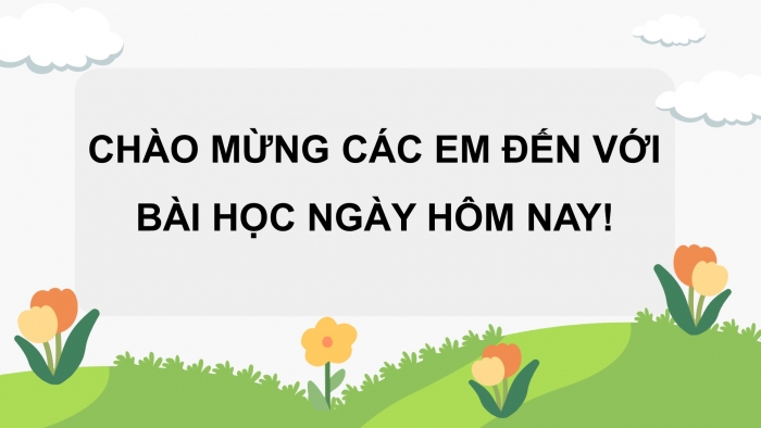 Giáo án điện tử Công nghệ 4 cánh diều Bài 2: Một số loại hoa phổ biến