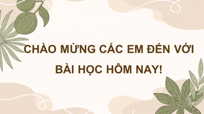 Giáo án điện tử Sinh học 11 chân trời Bài 4: Quang hợp ở thực vật (P2)