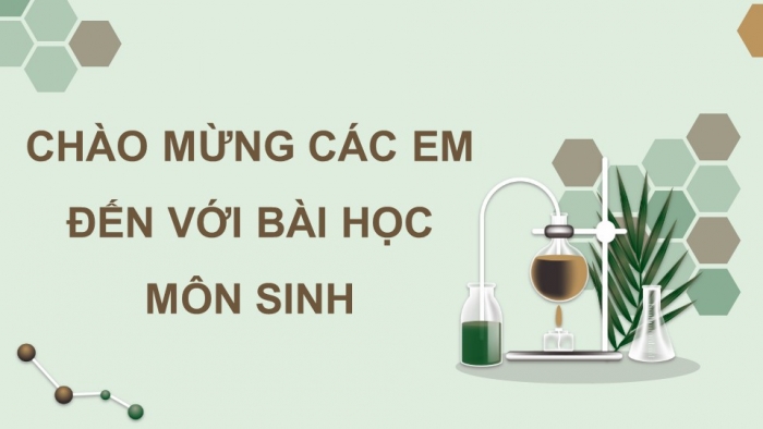 Giáo án điện tử Sinh học 11 chân trời Bài 6: Hô hấp ở thực vật