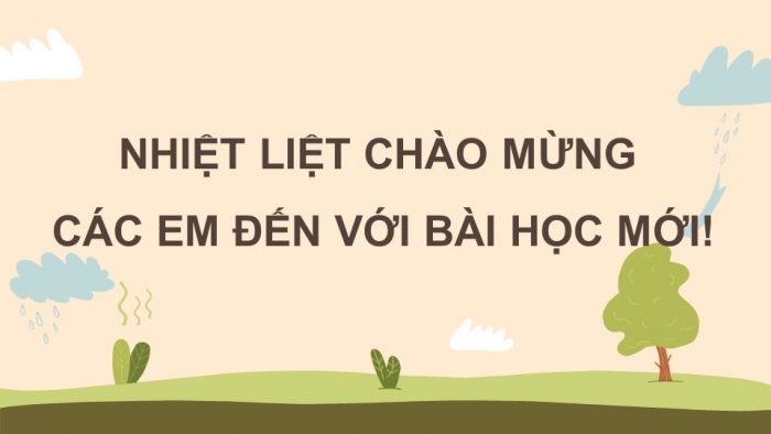 Giáo án điện tử Sinh học 11 cánh diều Bài 4: Quang hợp ở thực vật (P2)