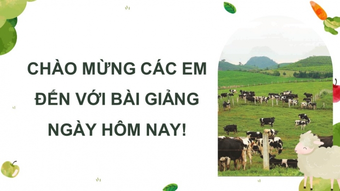 Giáo án điện tử Công nghệ chăn nuôi 11 cánh diều: Ôn tập chủ đề 2