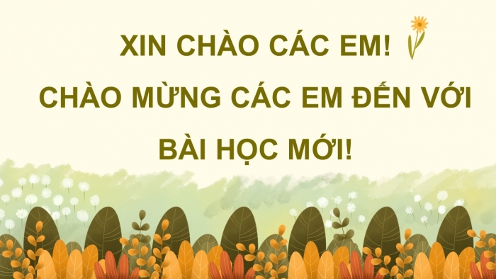 Giáo án điện tử Công nghệ 4 chân trời Bài 5: Chăm sóc hoa, cây cảnh trong chậu