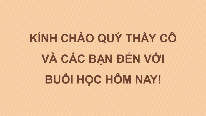 Giáo án điện tử Ngữ văn 11 cánh diều Bài 4 Đọc 3: Tiếng Việt lớp trẻ bây giờ