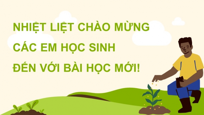 Giáo án điện tử KHTN 8 kết nối Bài 12: Phân bón hoá học