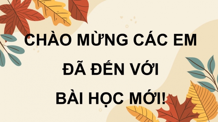 Giáo án điện tử Tiếng Việt 4 kết nối Bài 17 Tiết : Luyện Từ Và Câu 