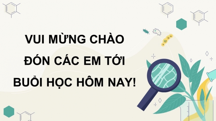 Giáo án điện tử Sinh học 11 chân trời Bài 14: Khái quát về cảm ứng ở sinh vật