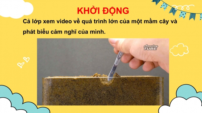 Giáo án điện tử ngữ văn 7 chân trời tiết: Văn bản – Lời của cây