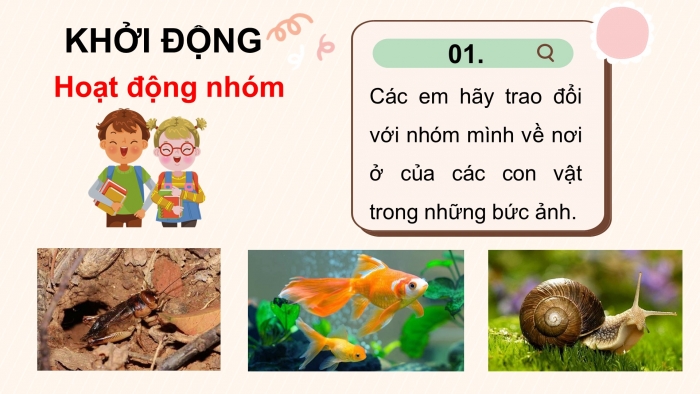 Giáo án điện tử tiếng việt 3 chân trời bài 3 tiết 8 + 9: Chuyện xây nhà