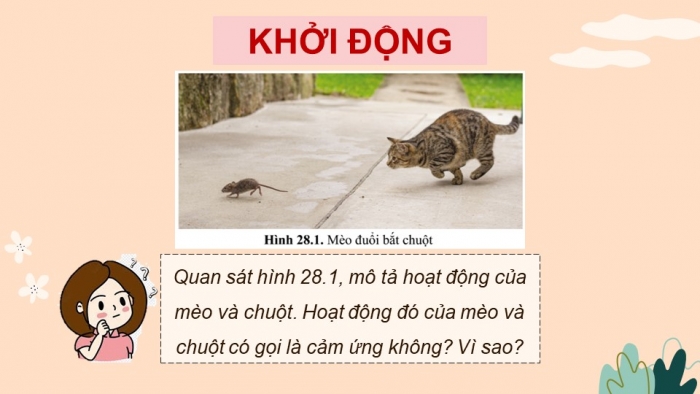 Giáo án điện tử KHTN 7 cánh diều – Phần sinh học bài 28. Tập tính ở động vật