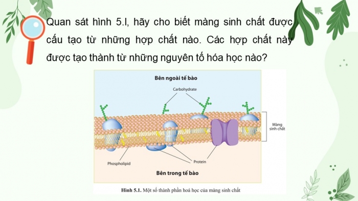 Giáo án điện tử sinh học 10 cánh diều bài 5: Các nguyên tố hóa học và nước