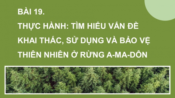 Giáo án điện tử địa lí 7 cánh diều bài 19 : Thực hành - Tìm hiểu vấn đề khai thác, sử dụng và bảo vệ thiên nhiên ở rừng a-ma-dôn