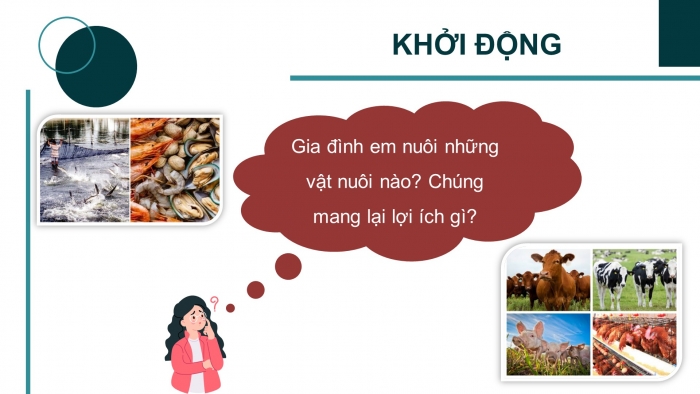  Giáo án điện tử công nghệ 7 cánh diều bài: Ôn tập chủ đề 2