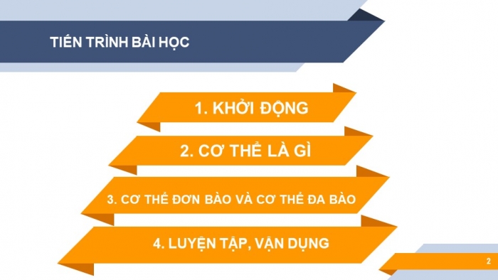 Giáo án powerpoint KHTN 6 kết nối tri thức