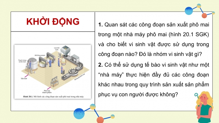 Giáo án điện tử sinh học 10 cánh diều bài 20: Thành tựu của công nghệ vi sinh vật và ứng dụng của vi sinh vật