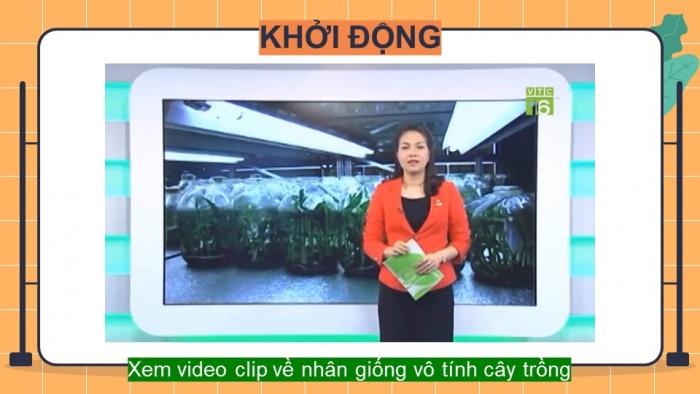 Giáo án PowerPoint bài 5: Nhân giống vô tính cây trồng