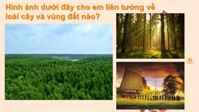 Giáo án điện tử Ngữ văn 12 bài: Rừng xà nu