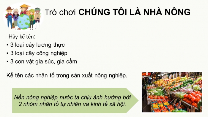 Giáo án điện tử địa lí 9 bài 7: Các nhân tố ảnh hưởng đến sự phát triển và phân bố nông nghiệp