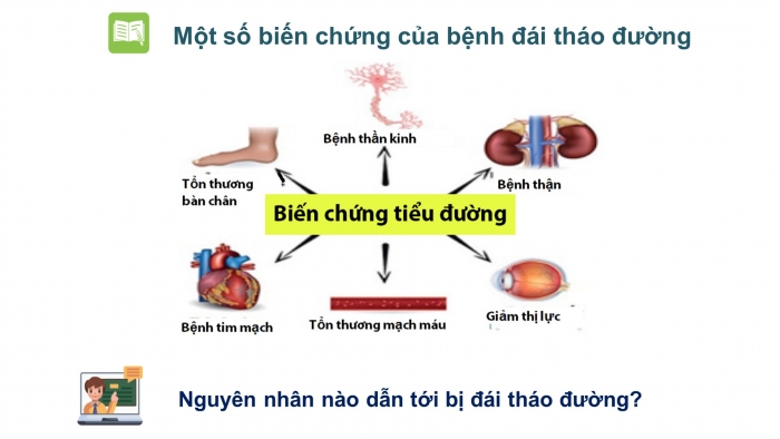 Giáo án điện tử Sinh học 12 bài 3: Điều hoà hoạt động gen