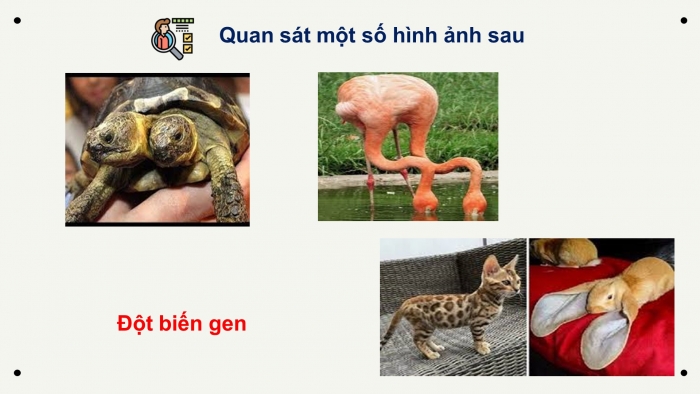 Giáo án điện tử Sinh học 12 bài 4: Đột biến gen