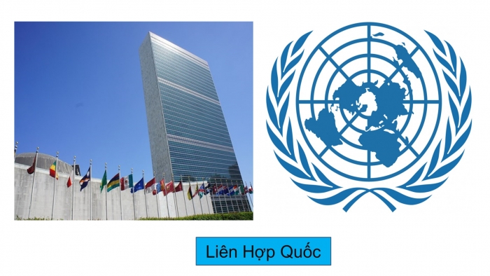 Giáo án điện tử lịch sử 9 bài 11: Liên hợp quốc