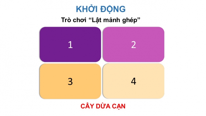 Giáo án điện tử Công nghệ 4 chân trời: Ôn tập Phần 1