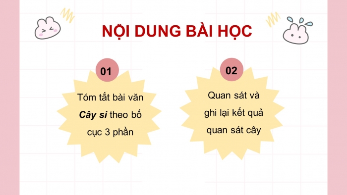 Giáo án điện tử Tiếng Việt 4 cánh diều Bài 3 Viết 2: Luyện tập tả cây cối