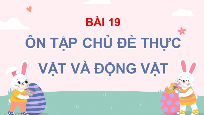 Giáo án điện tử bài 19: Ôn tập chủ đề thực vật và động vật